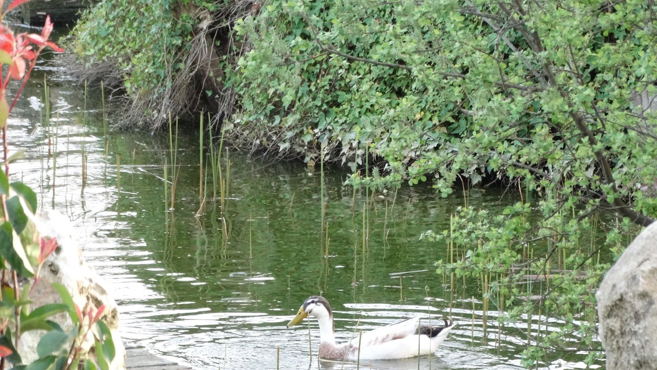 Photo of Others in Grazac