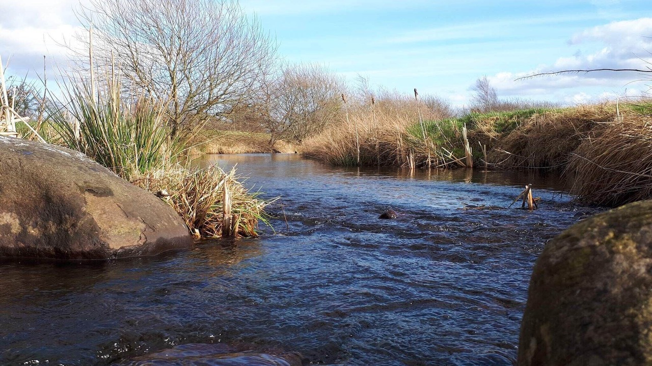 Photo of Others in Karup