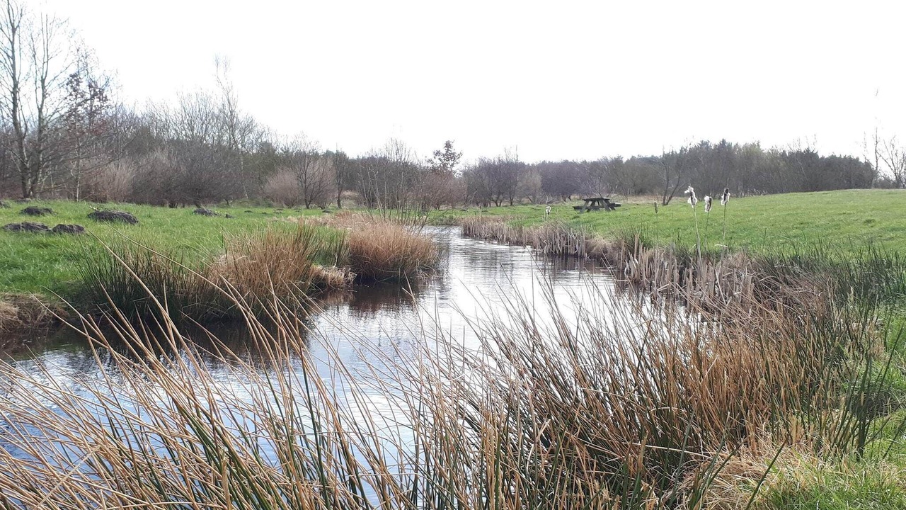 Photo of Others in Karup