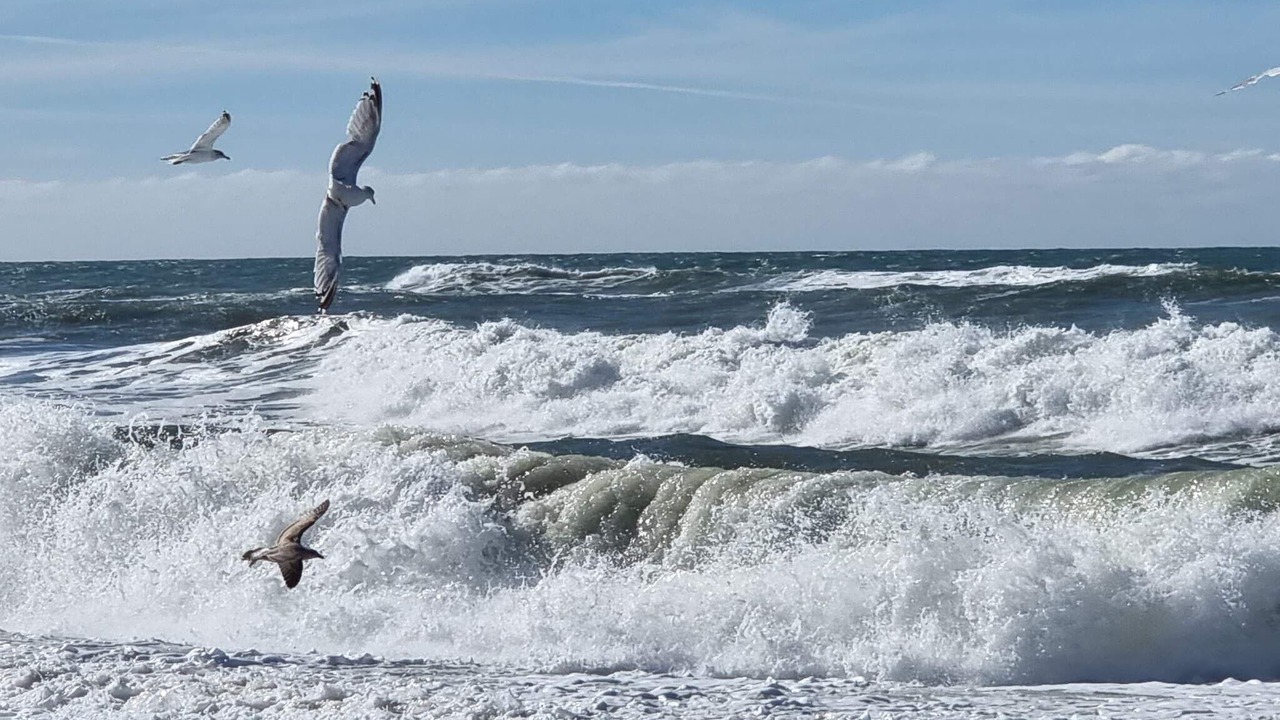 Photo of Others in Vrist Strand