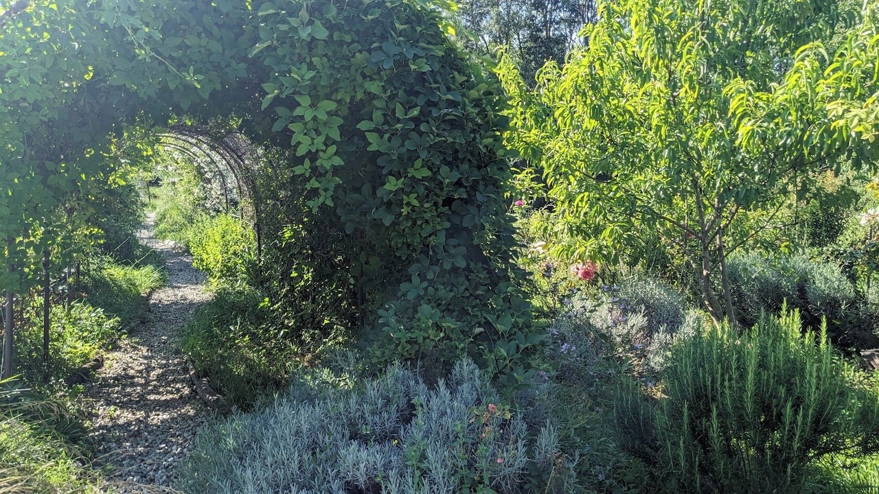 Photo of Outdoor in Pamiers