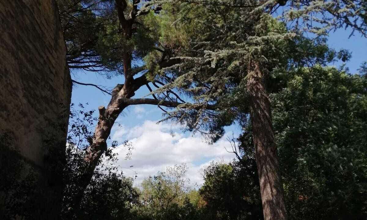 Photo of Outdoor in Le Cailar