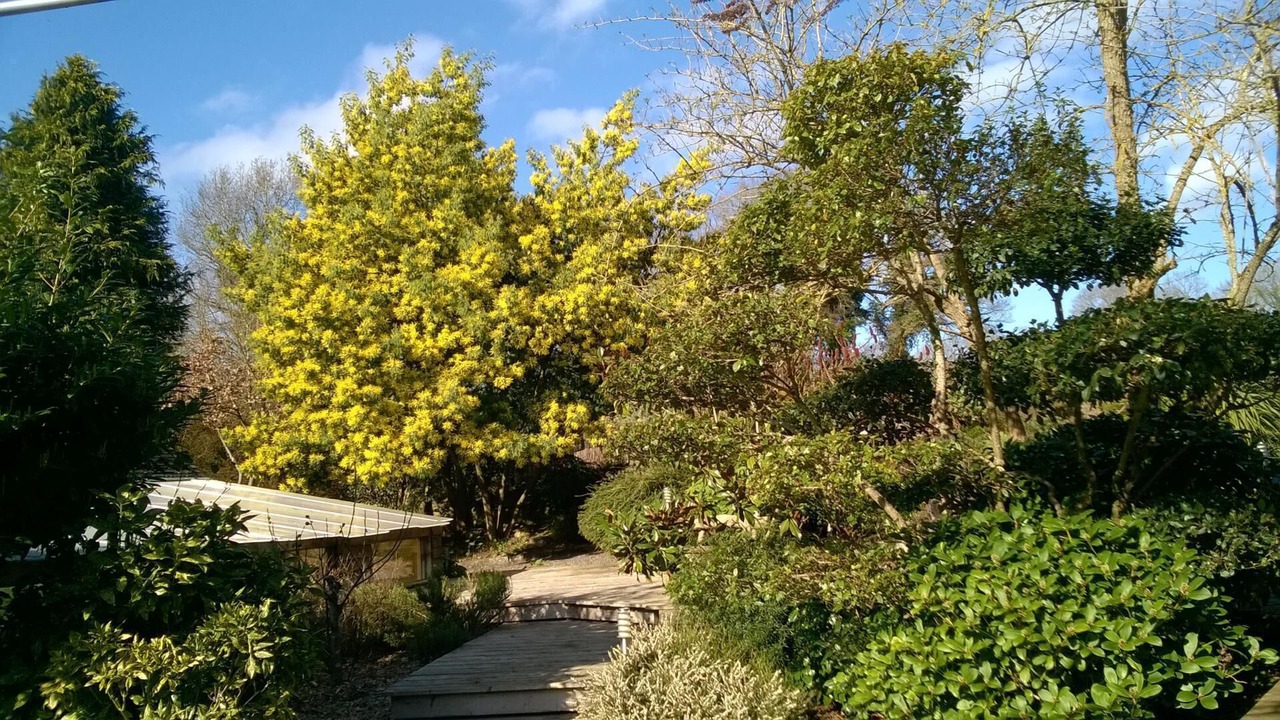 Photo of Outdoor in Saint-Grave