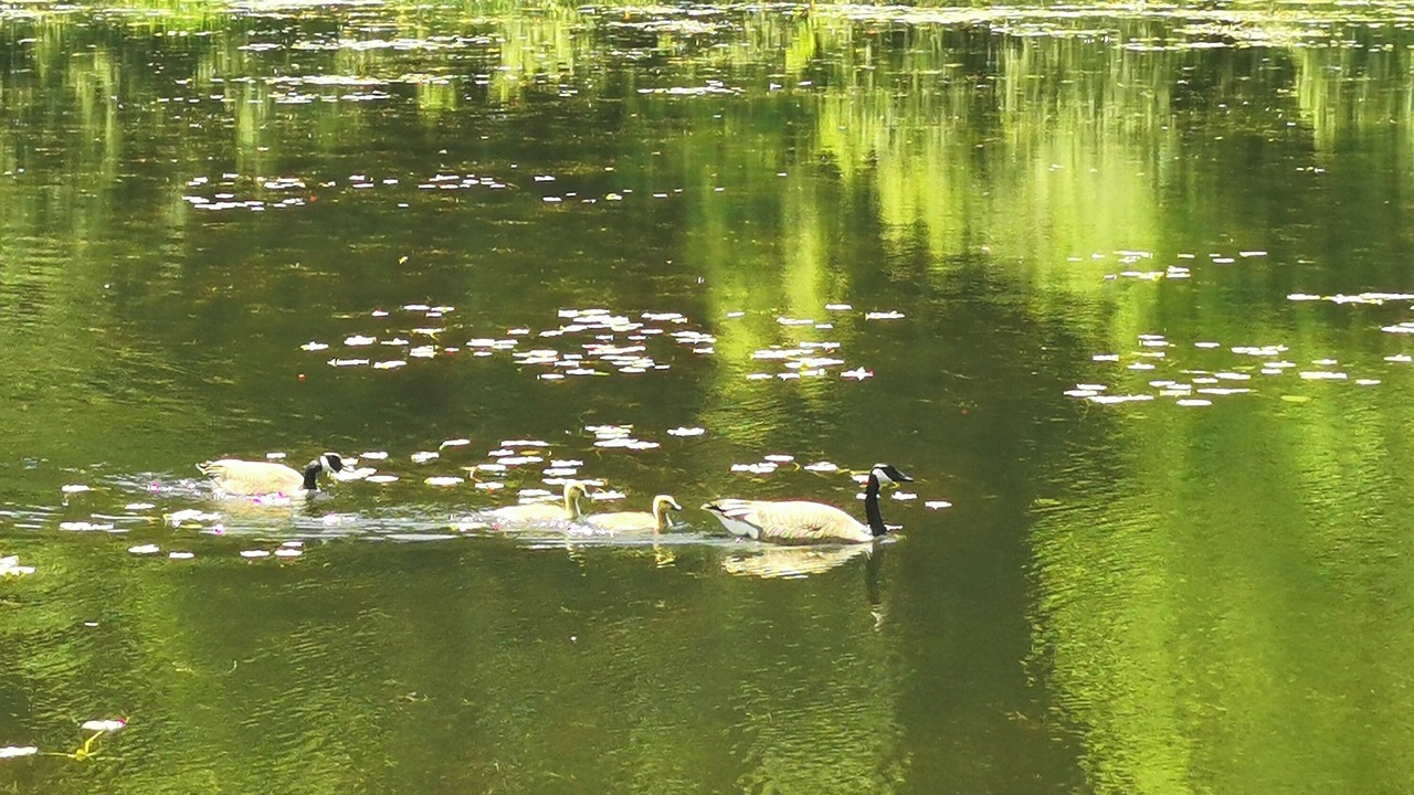 Photo of Others in Hudson