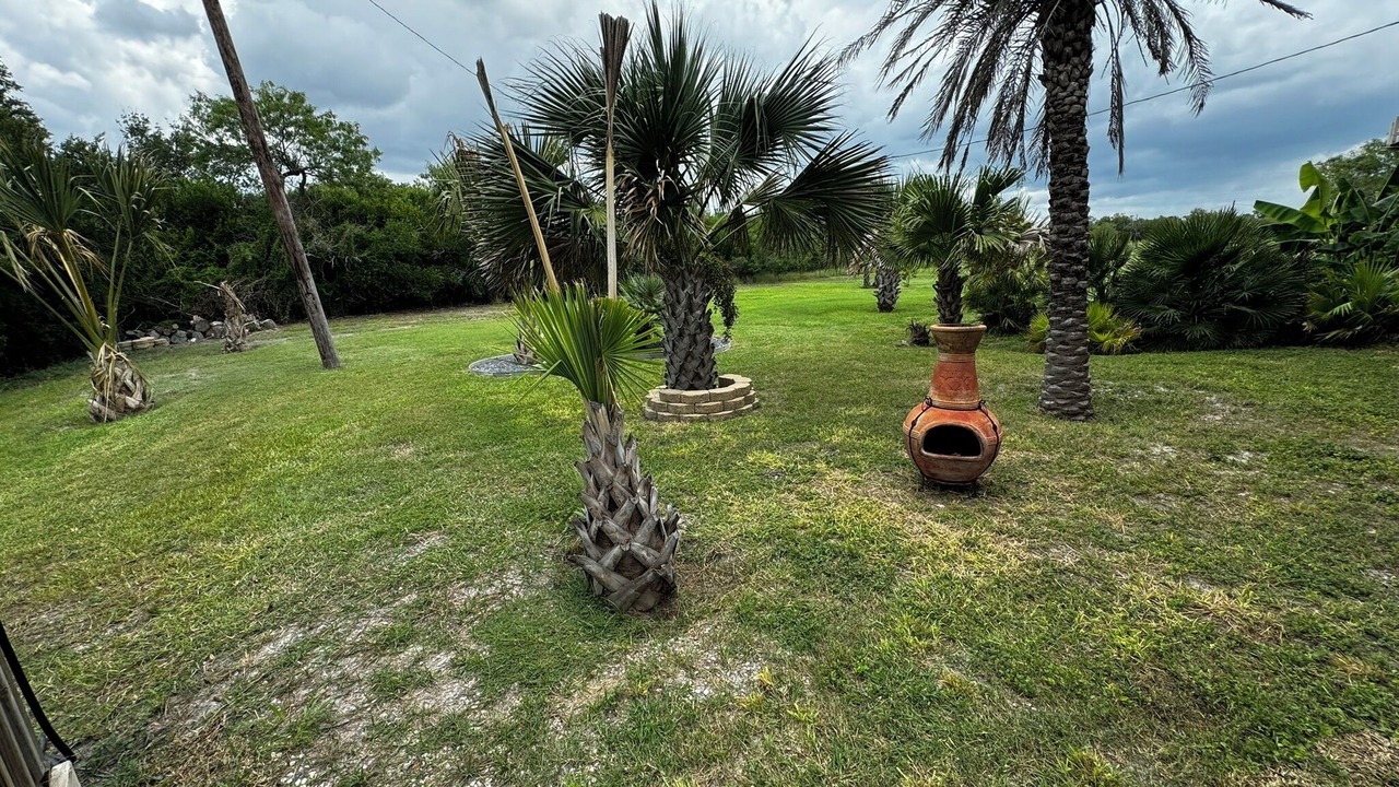 Photo of Outdoor in Refugio County