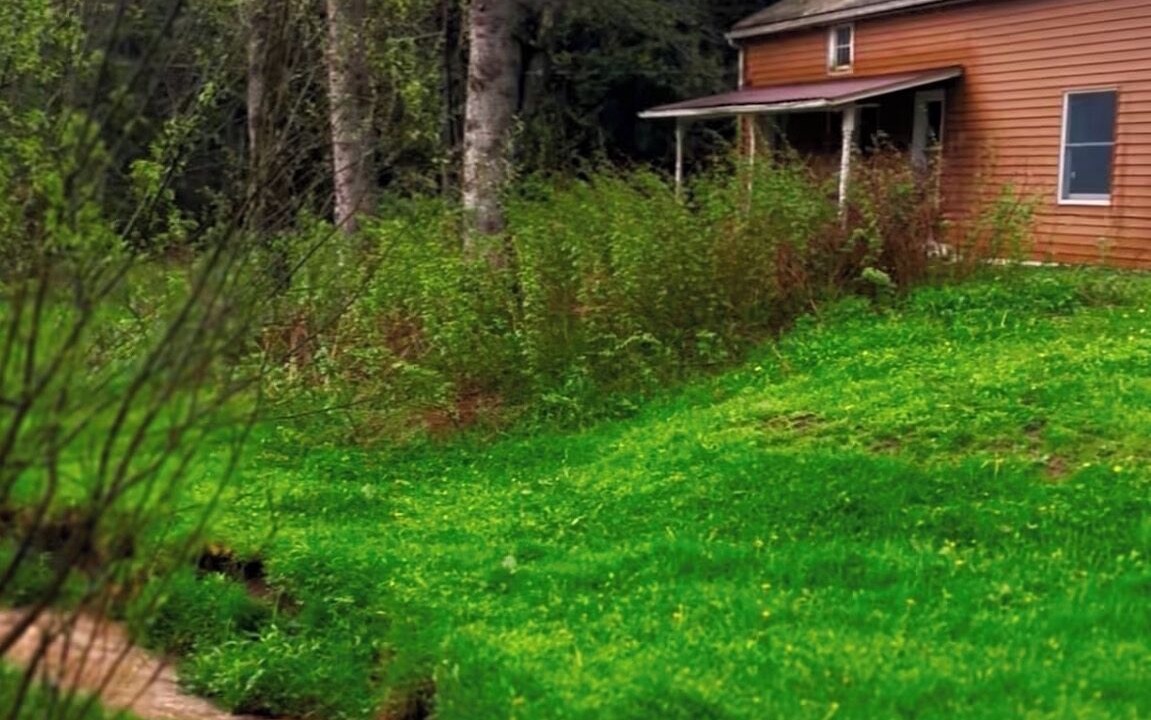 Photo of Outdoor in Shinglehouse