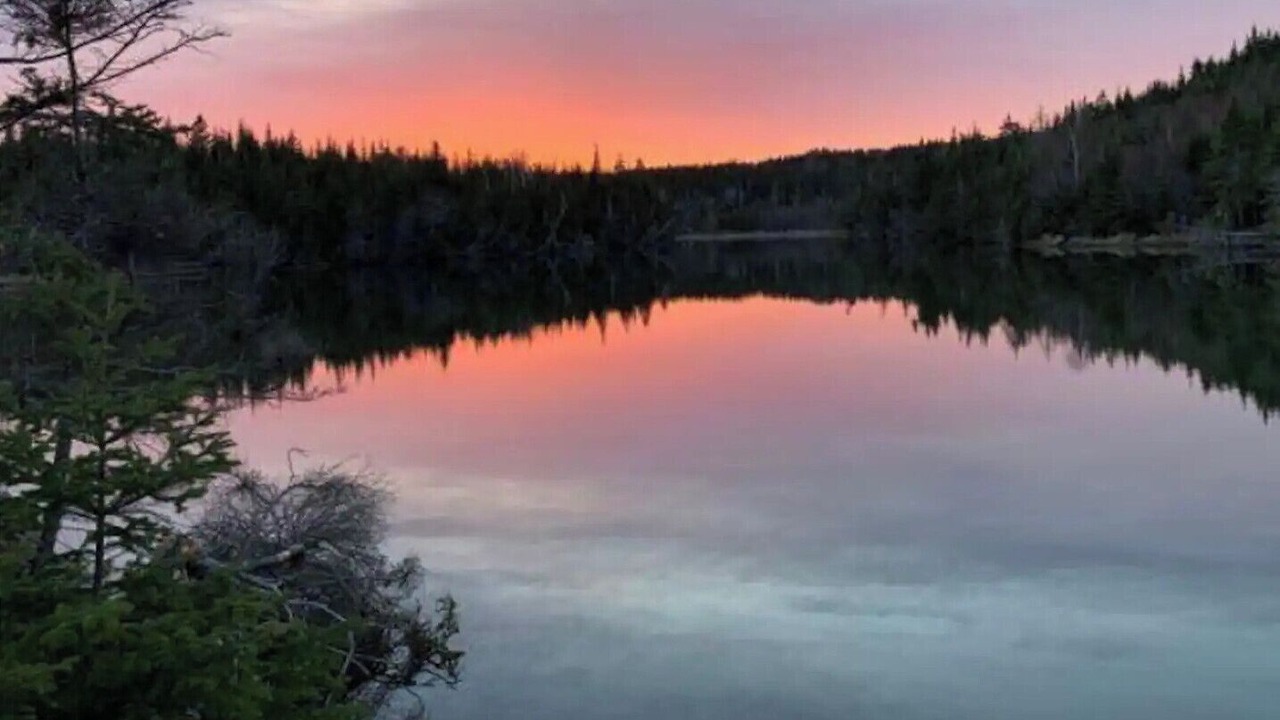 Photo of Others in Boylston