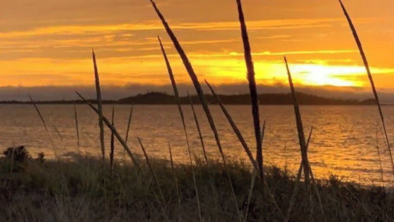 Photo of Others in Boylston