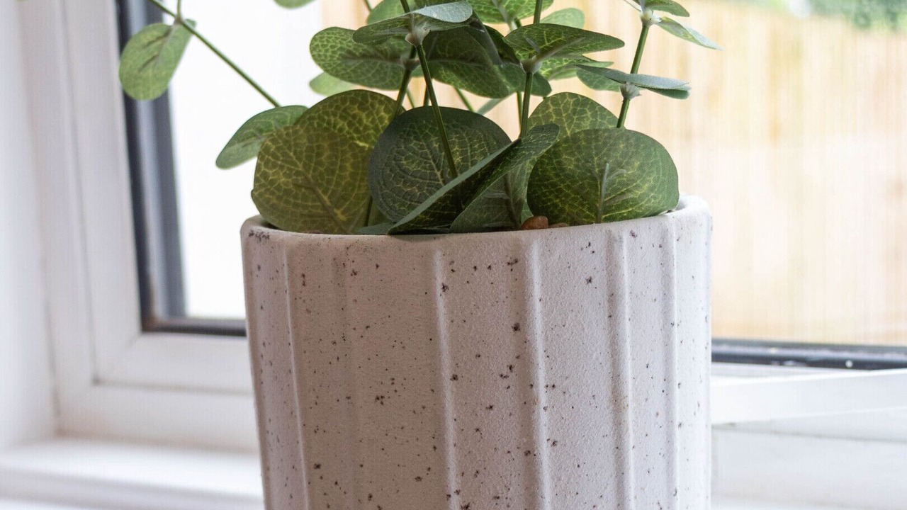 Photo of Others in Glasgow