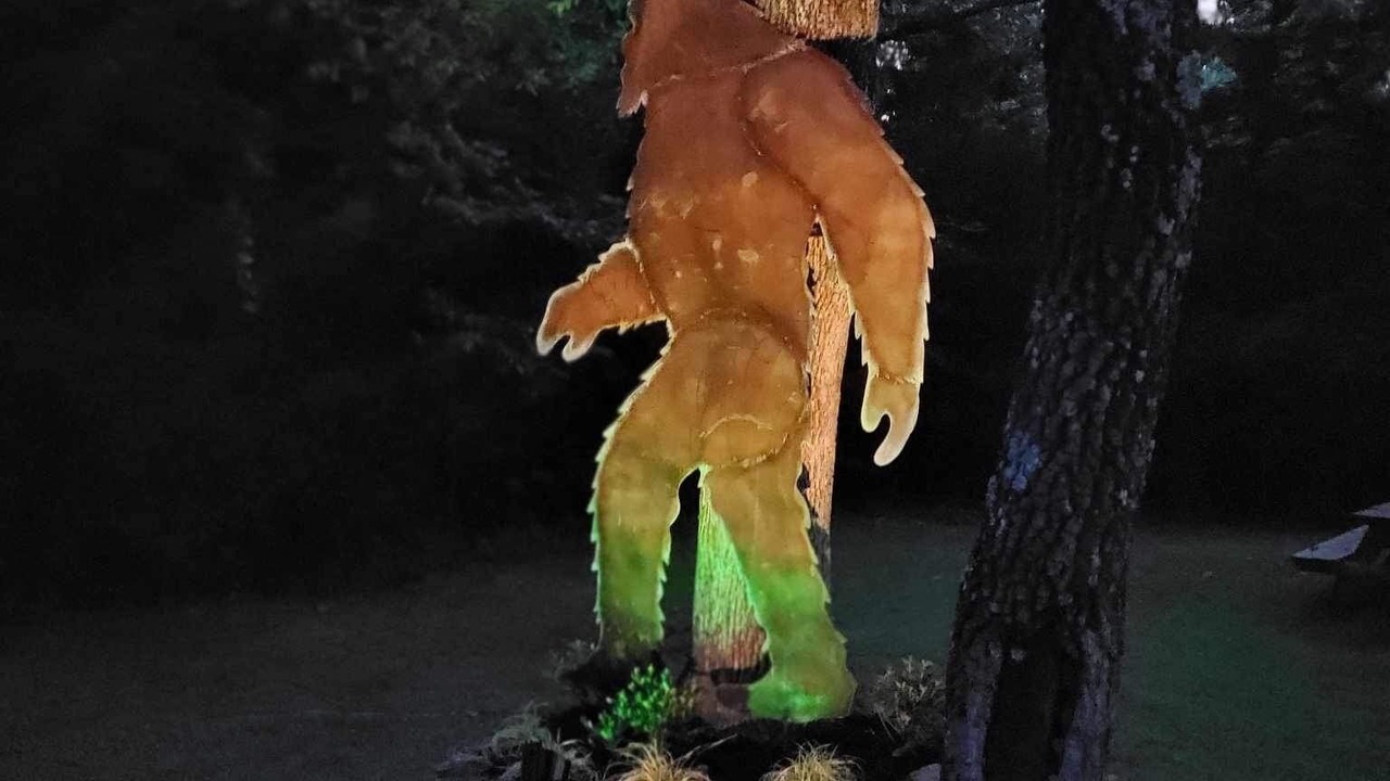 Photo of Outdoor in Proctor