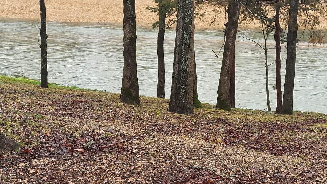 Photo of Outdoor in Proctor