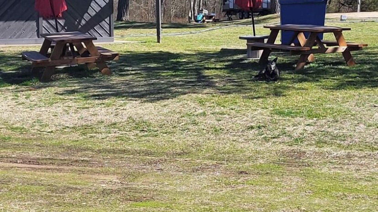 Photo of Outdoor in Proctor