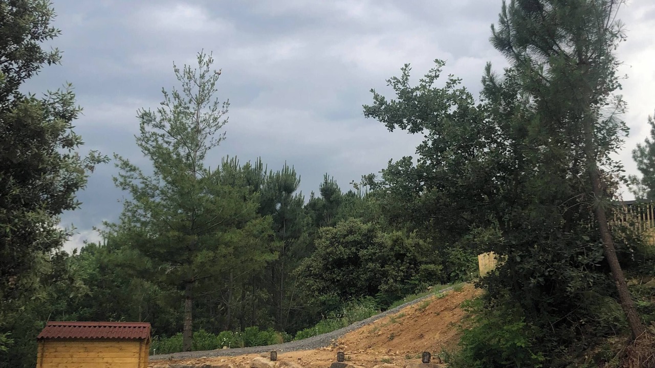 Photo of Outdoor in Ribes