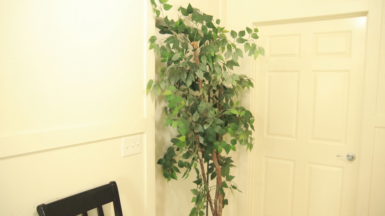 Photo of Others in Tehama County