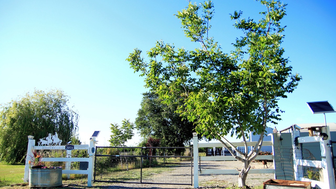 Photo of Outdoor in Tehama County