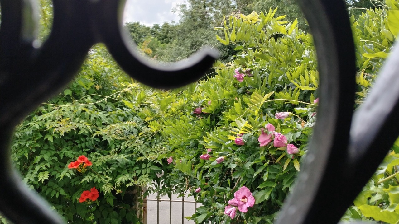 Photo of Outdoor in Bouille-Courdault