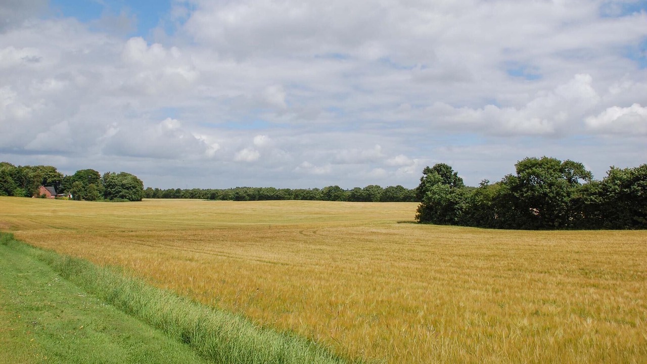 Photo of Bedroom in Skygge