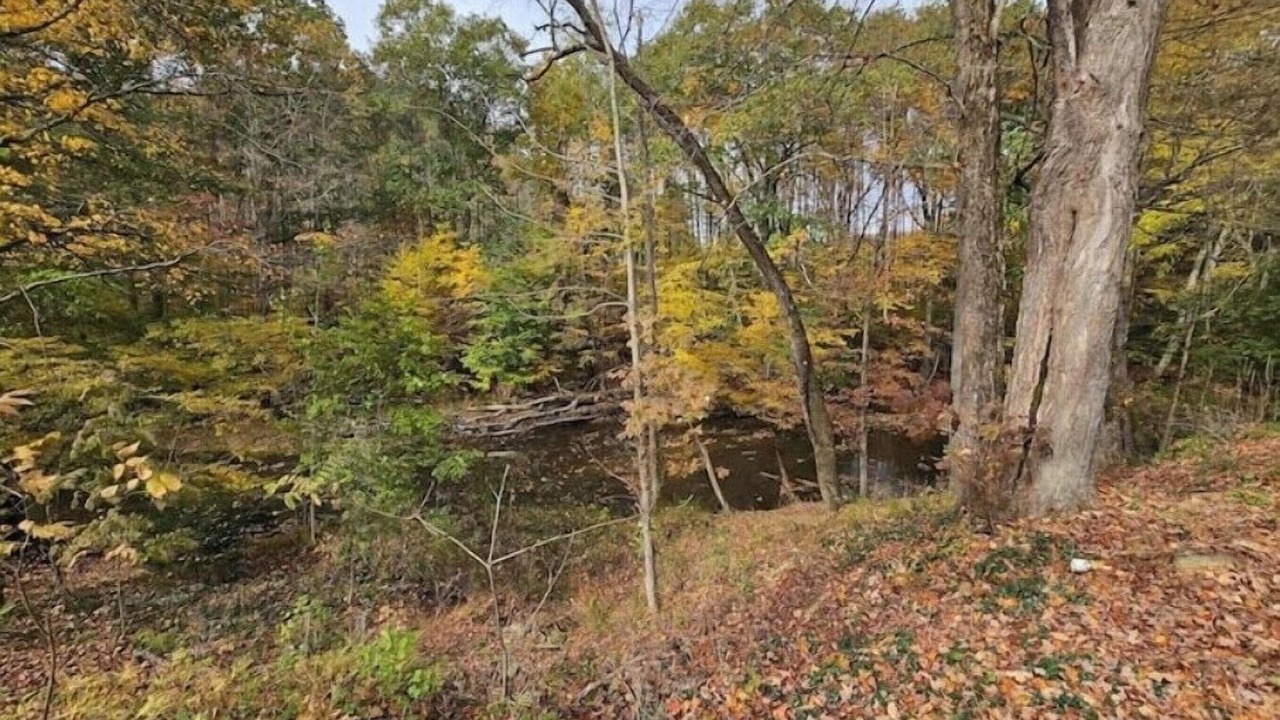 Photo of Others in Tidioute