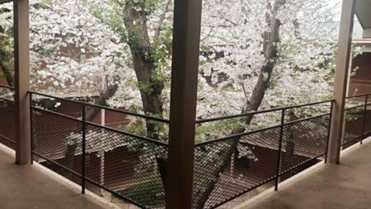 Photo of Outdoor in Athens