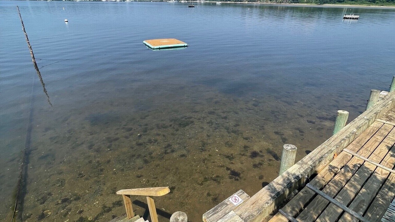 Photo of Others in Waquoit Village