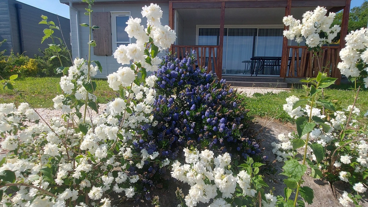 Photo of Outdoor in Arzal