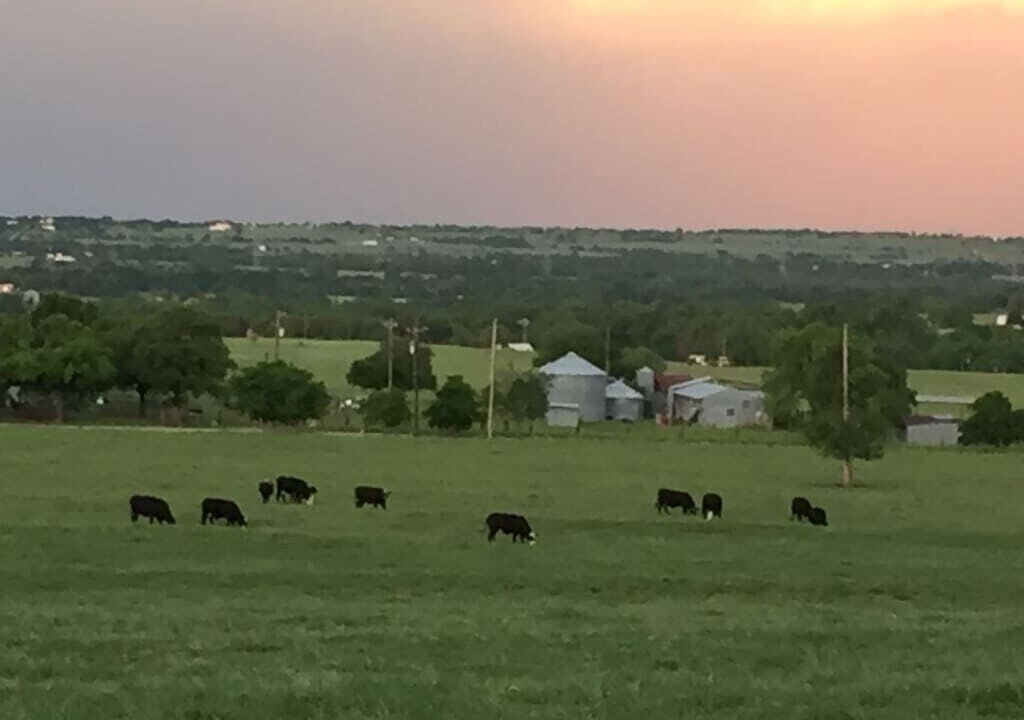 Photo of Others in Weatherford