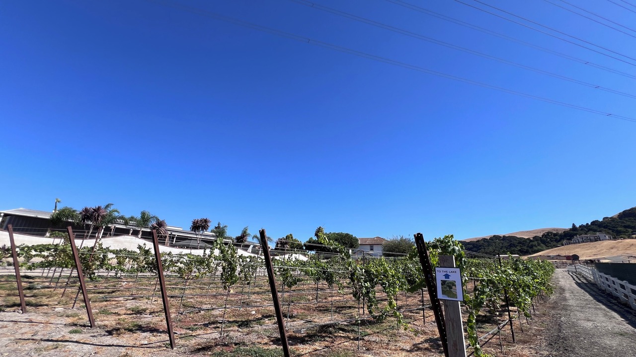 Photo of Others in Mount Hamilton