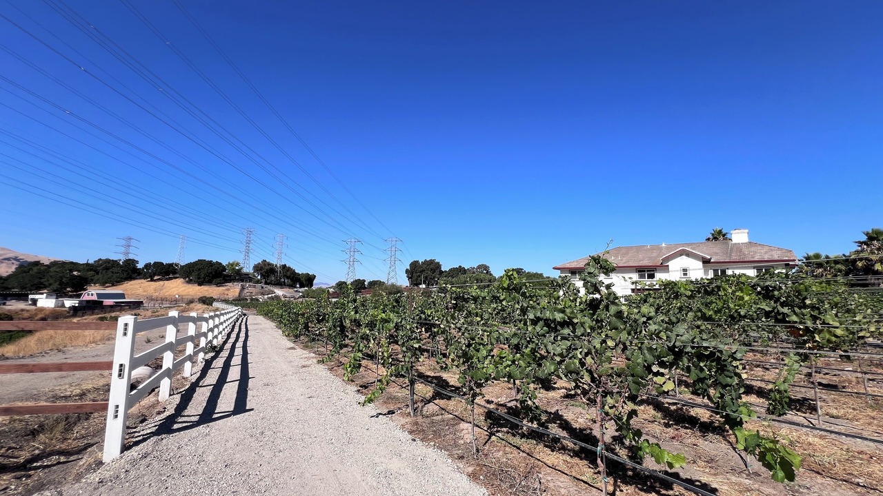 Photo of Others in Mount Hamilton