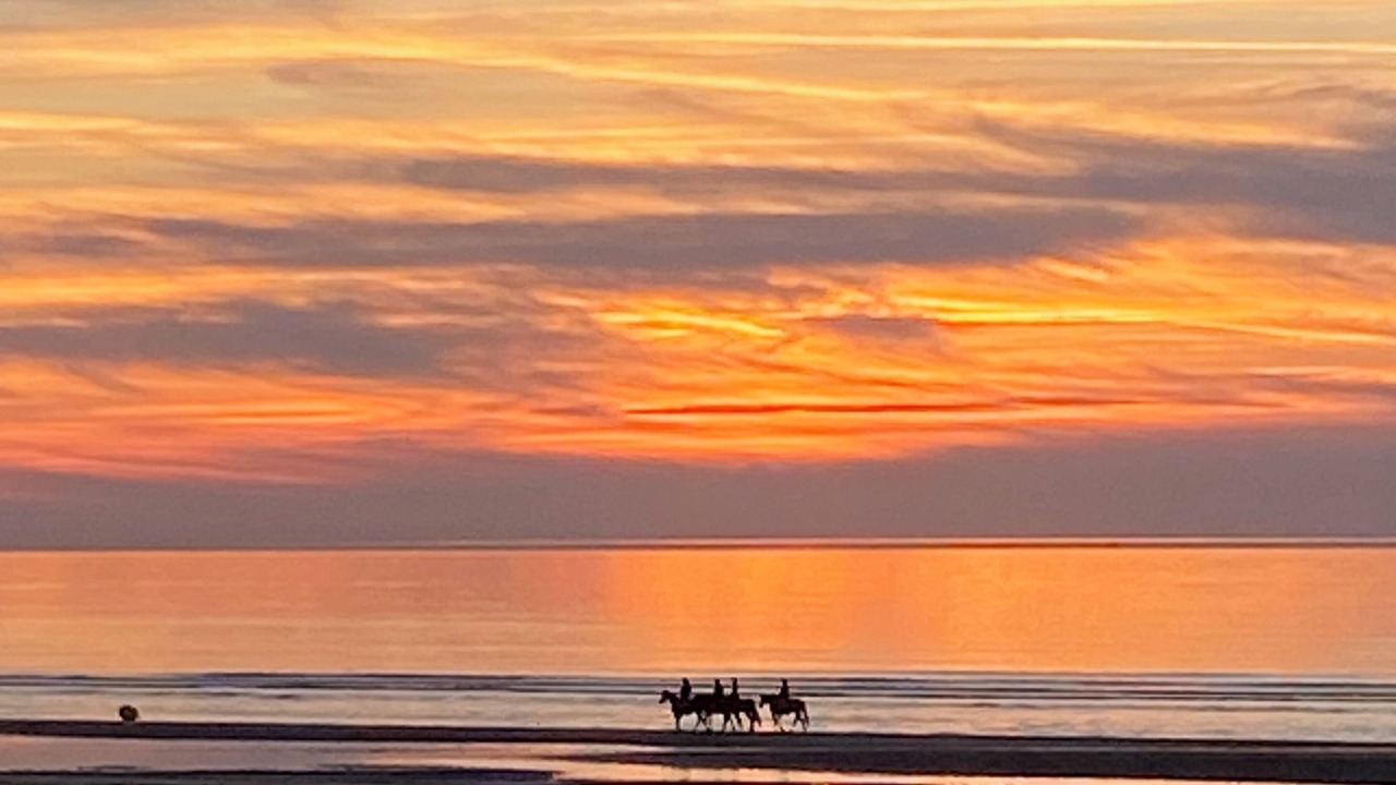 Photo of Others in Blonville-sur-Mer