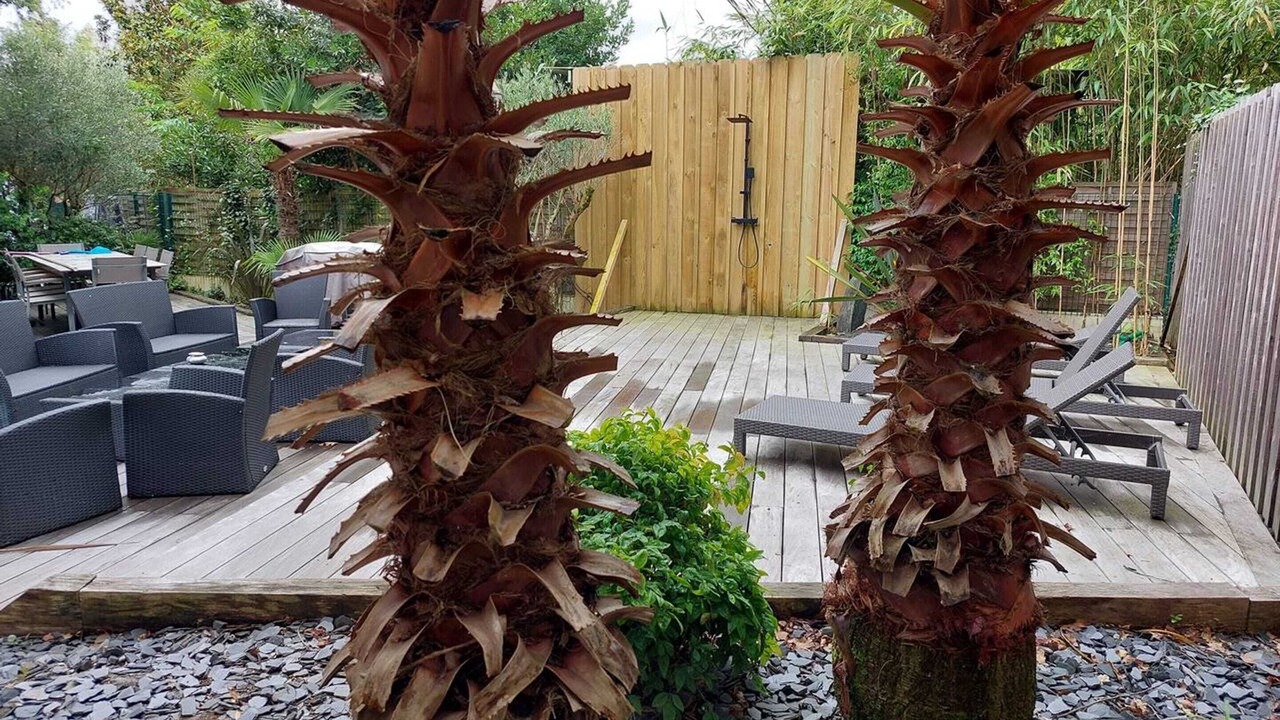 Photo of Others in Arcachon