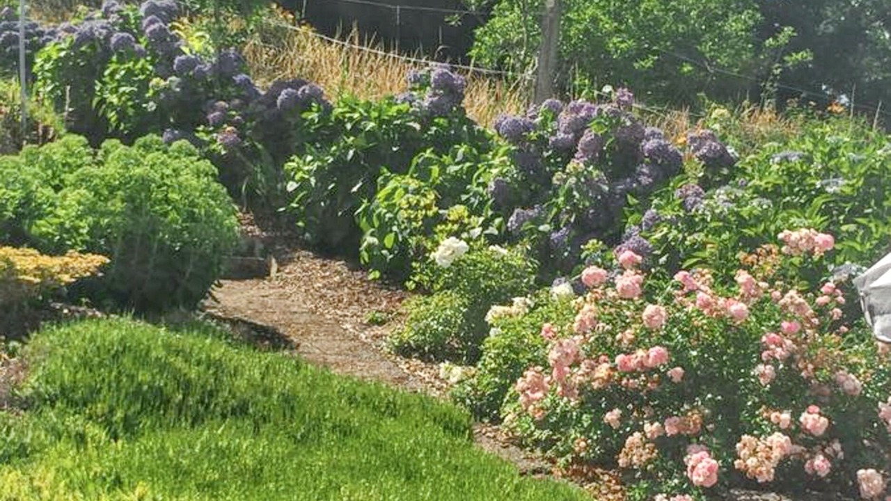 Photo of Outdoor in Chateaulin