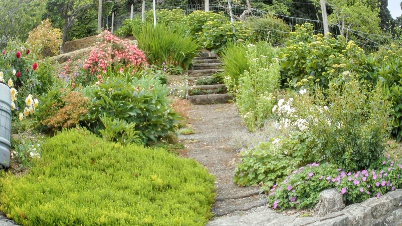 Photo of Outdoor in Chateaulin