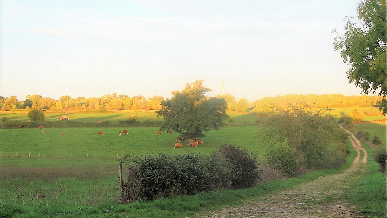 Photo of Others in Villeneuve d'Aveyron