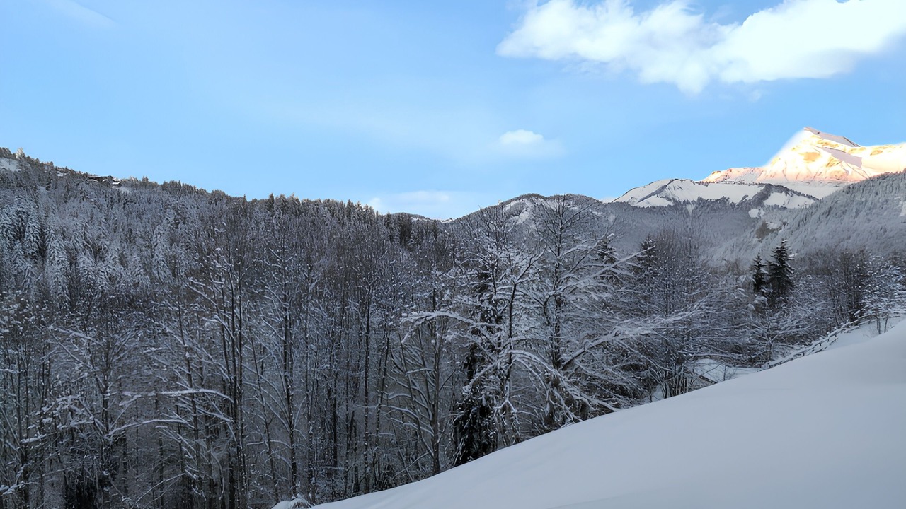 Photo of Others in Notre-Dame-de-Bellecombe