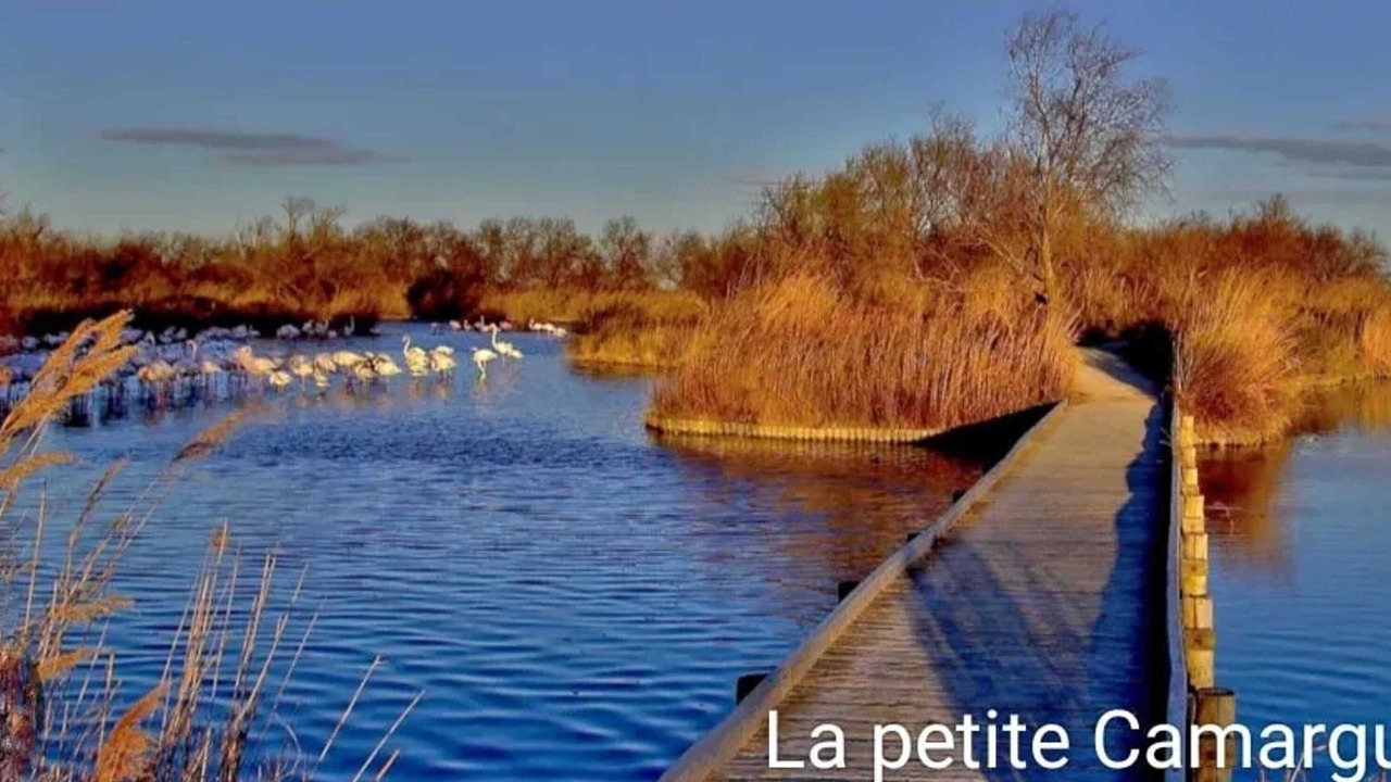 Photo of Others in Marsillargues
