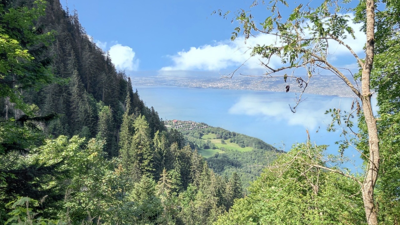 Photo of Outdoor in Thollon-les-Memises