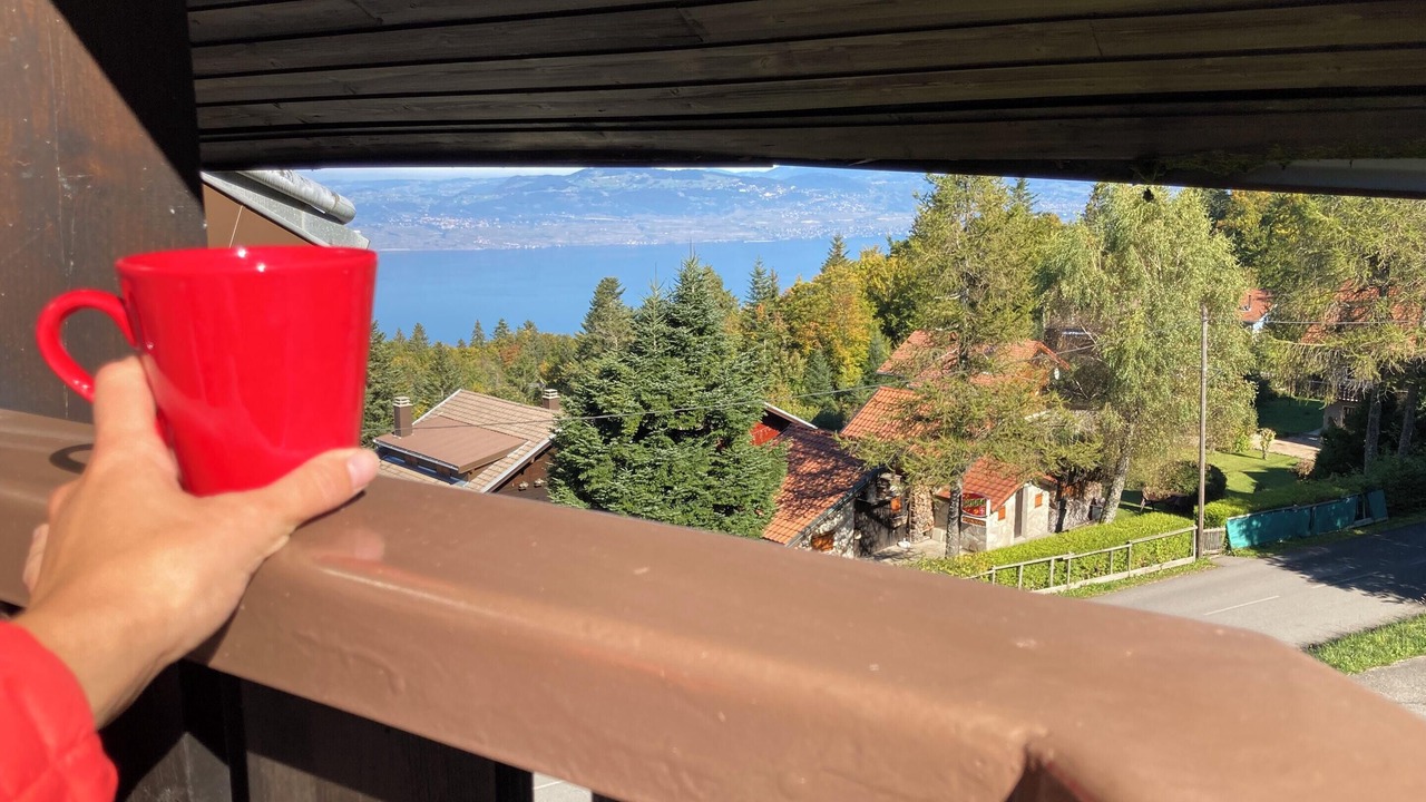 Photo of Outdoor in Thollon-les-Memises