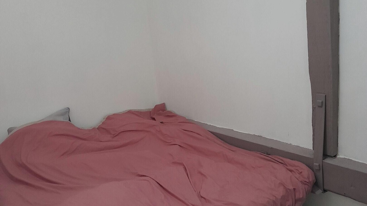 Photo of Bedroom in Loches