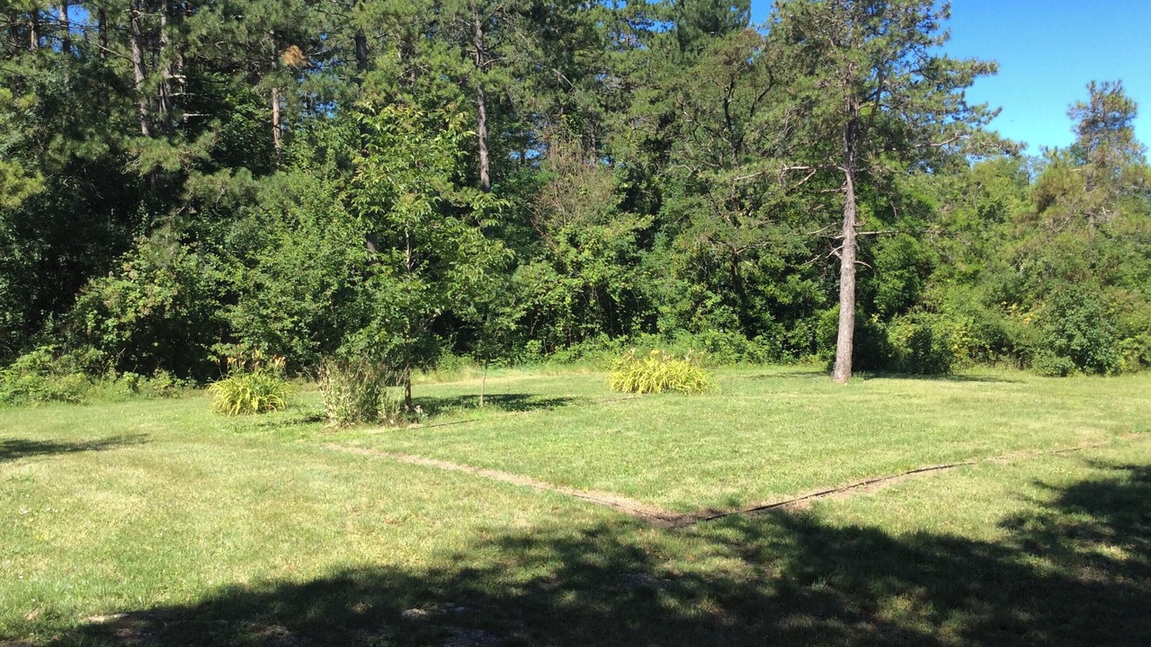 Photo of Outdoor in Salies