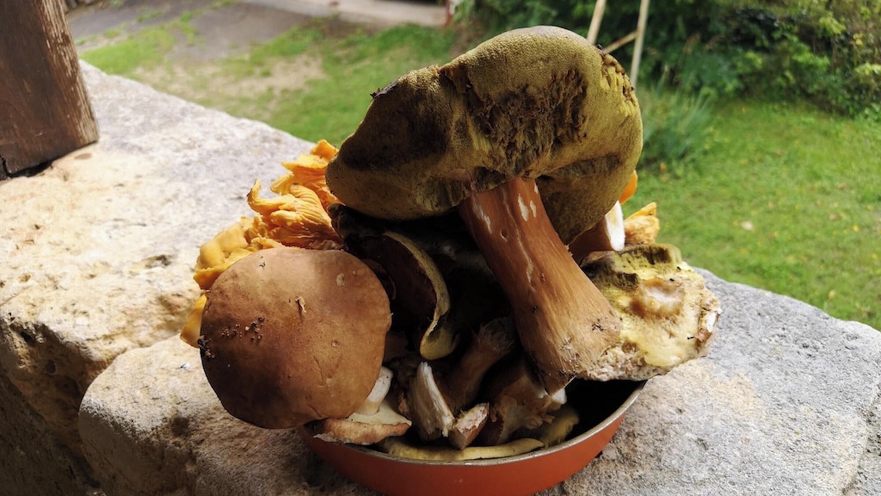 Photo of Others in Brantome-en-Perigord