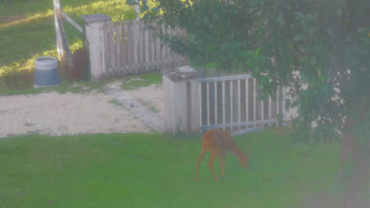 Photo of Outdoor in Brantome-en-Perigord