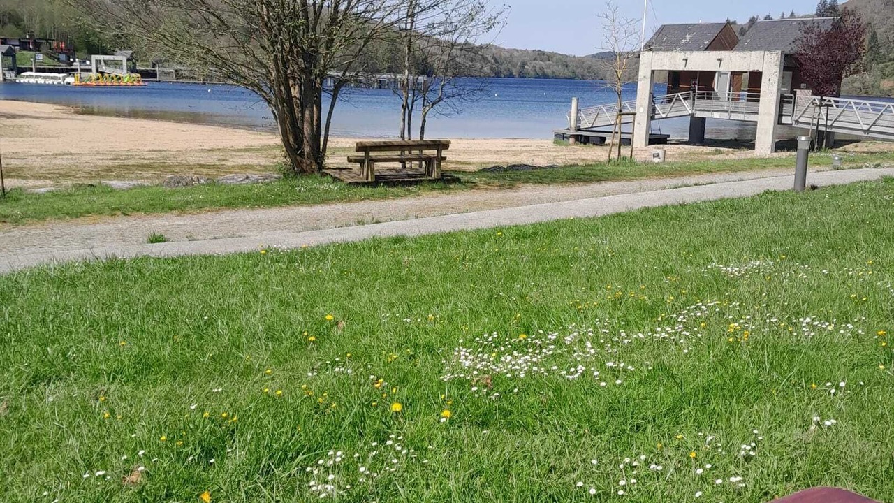 Photo of Others in La Salvetat-sur-Agout