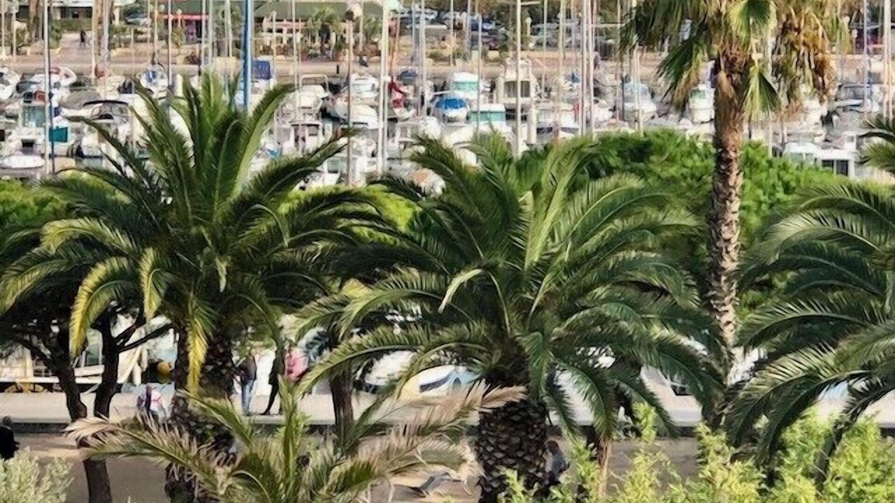 Photo of Others in Carnon-Plage