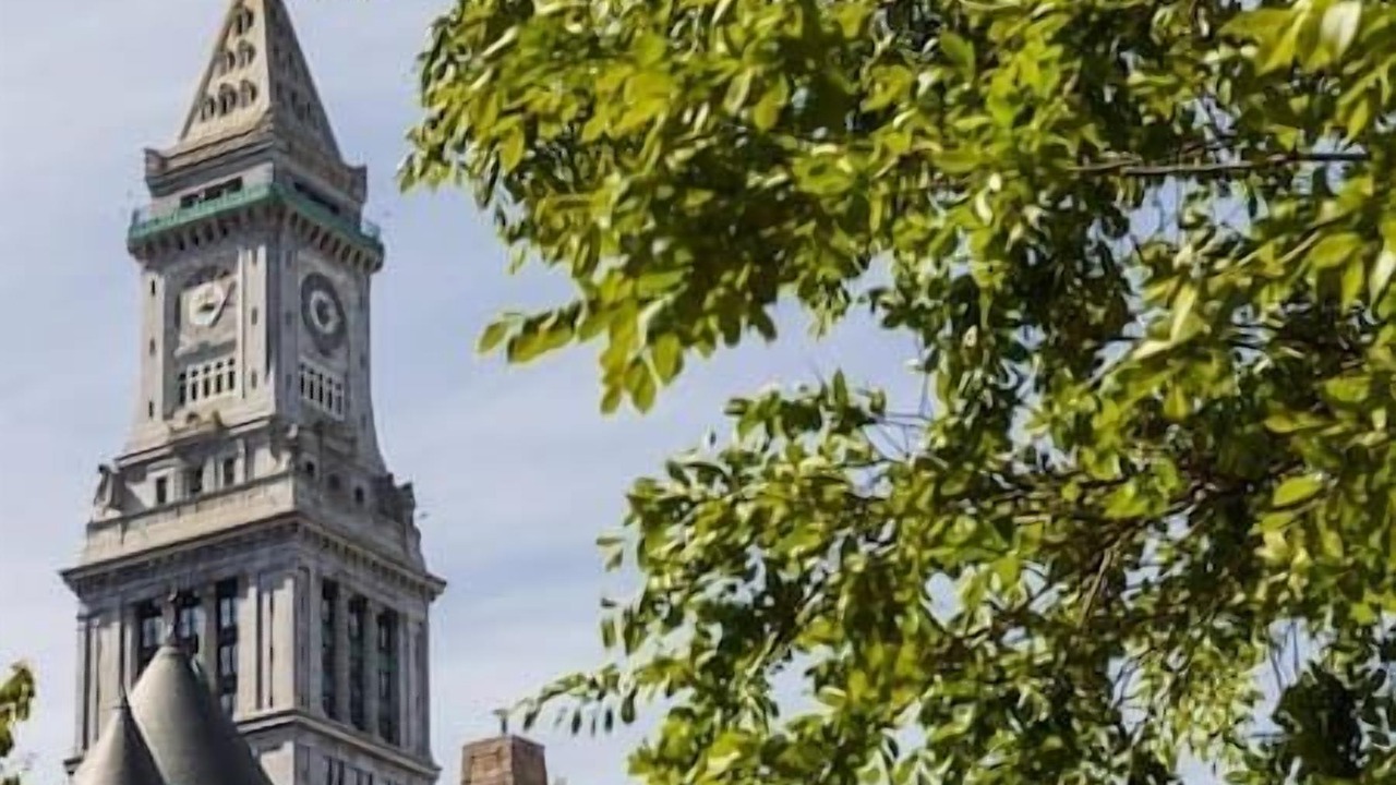 Photo of Others in Downtown Boston