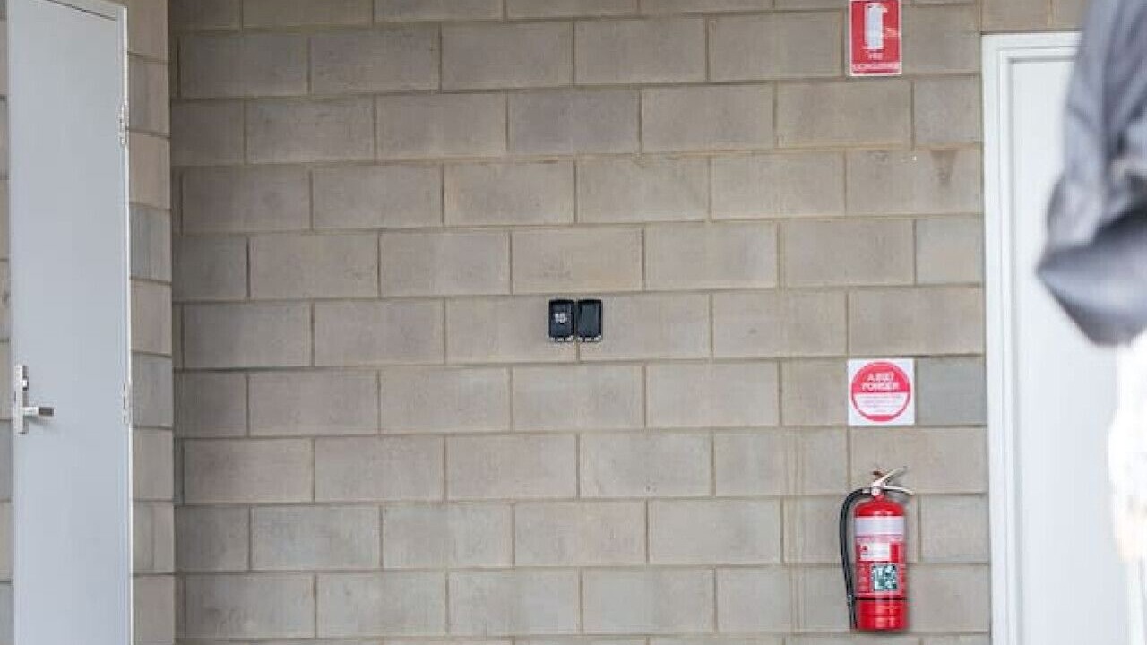 Photo of Others in Moana