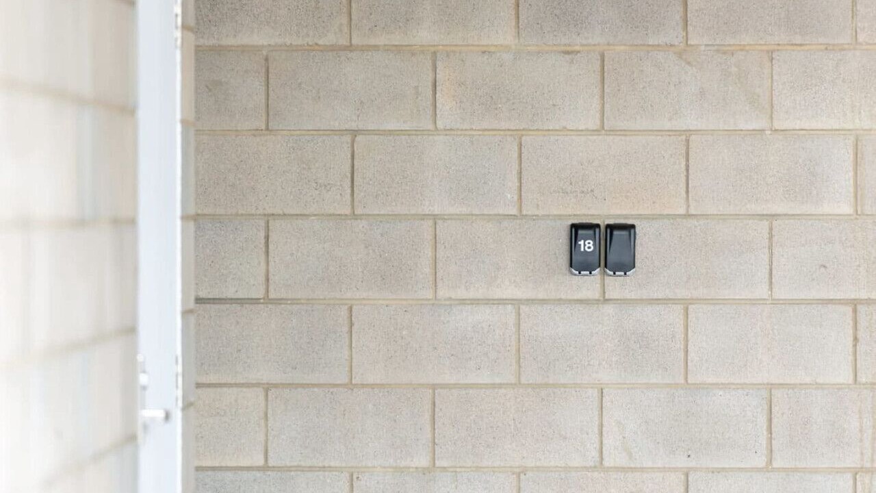 Photo of Others in Moana