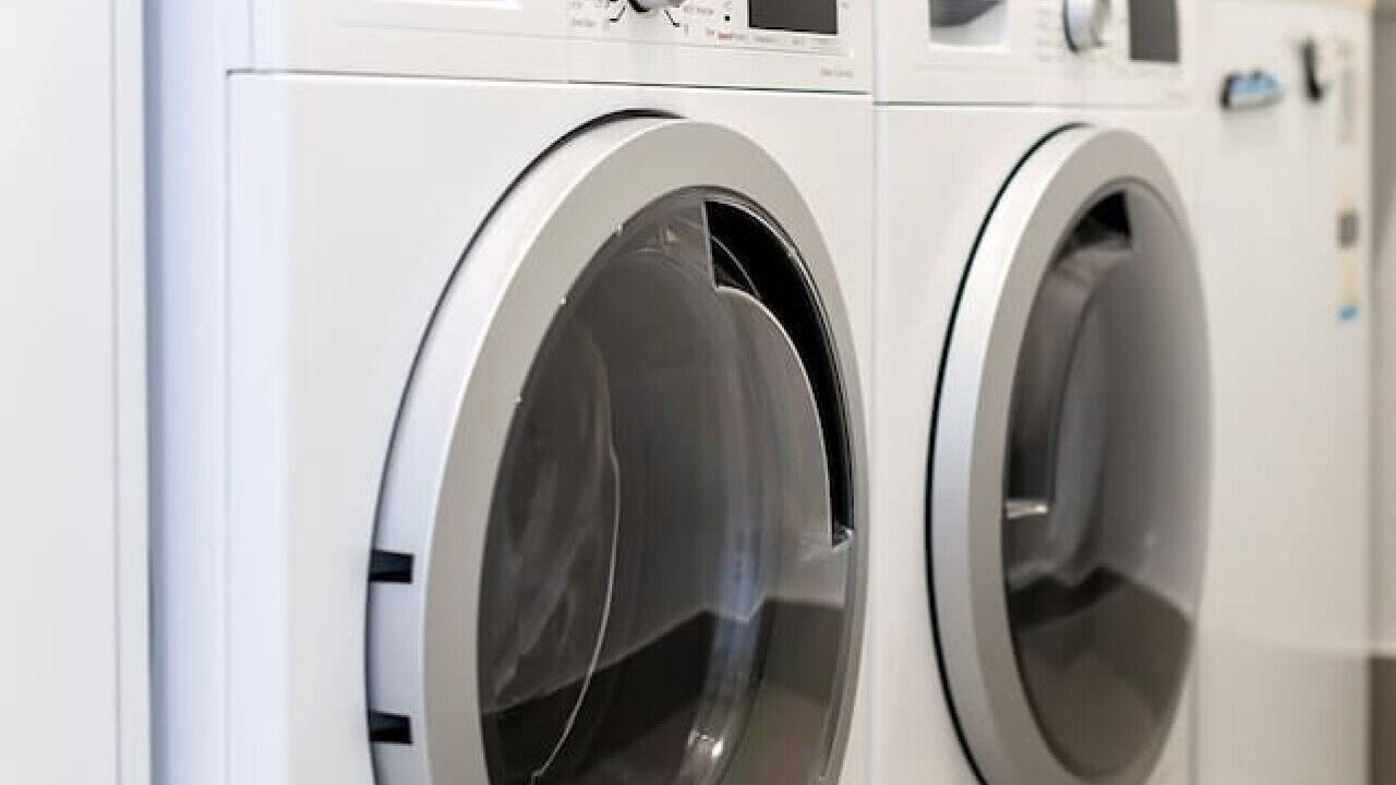 Photo of Others in Moana