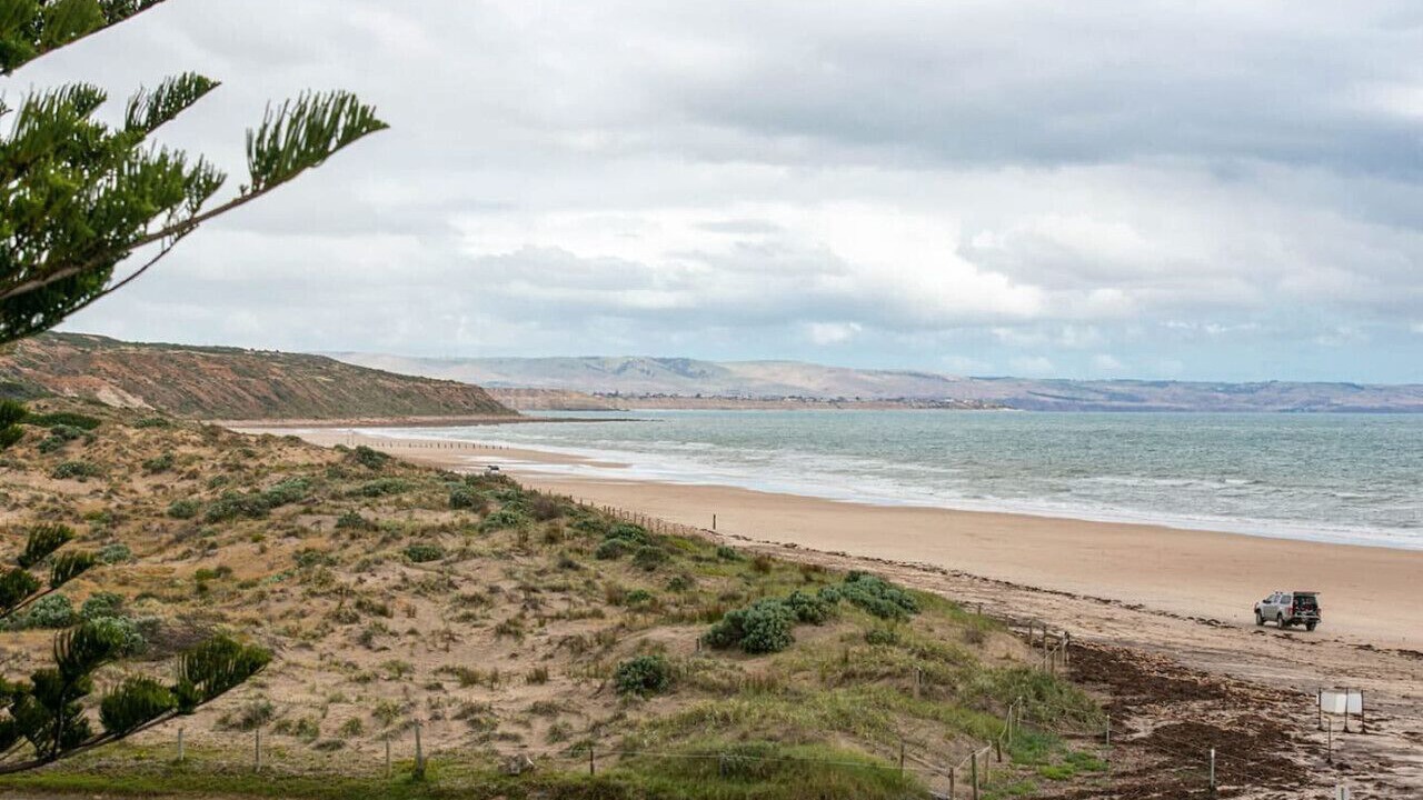 Photo of Others in Moana