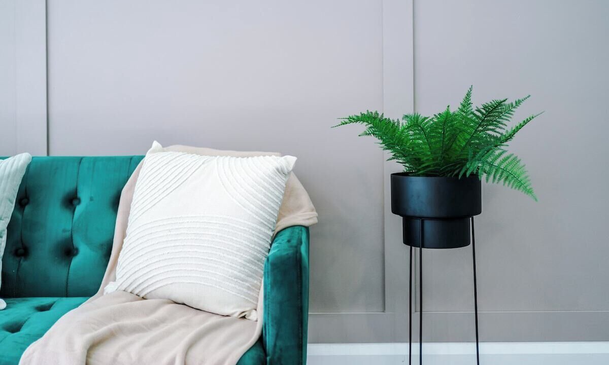 Photo of Others in Didsbury