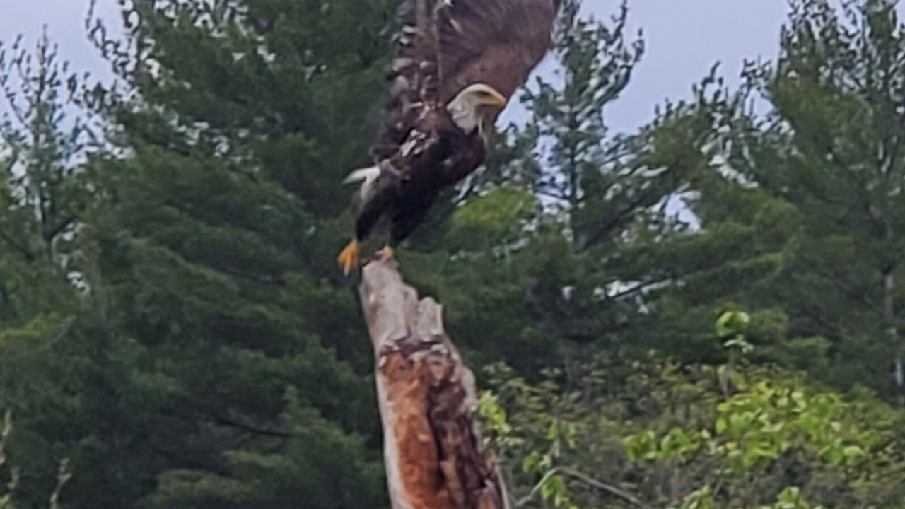 Photo of Outdoor in Wilmington